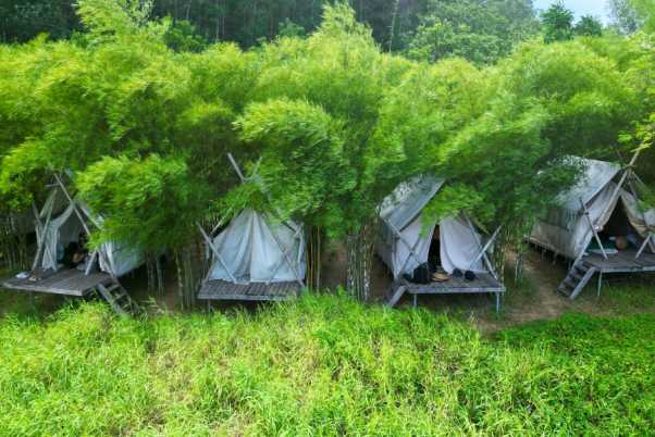 Tour 2N1Đ: Khám phá Trúc Lâm Phụng Thùy Sơn - Memento Countryside - Trầm Hương Hoàng Trầm - Làng Nhỏ